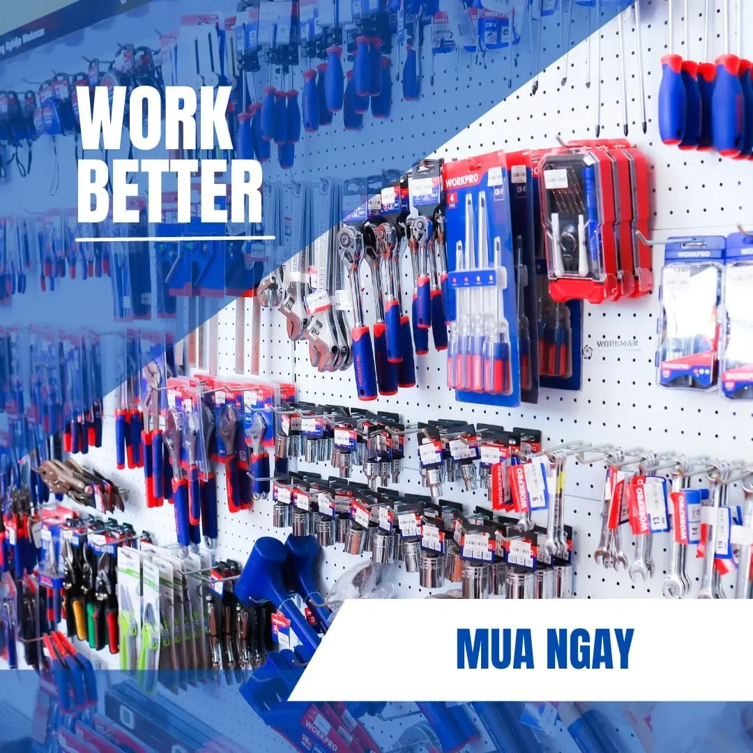 WORKSTORE Bình Dương - Siêu Thị Dụng Cụ Handtools