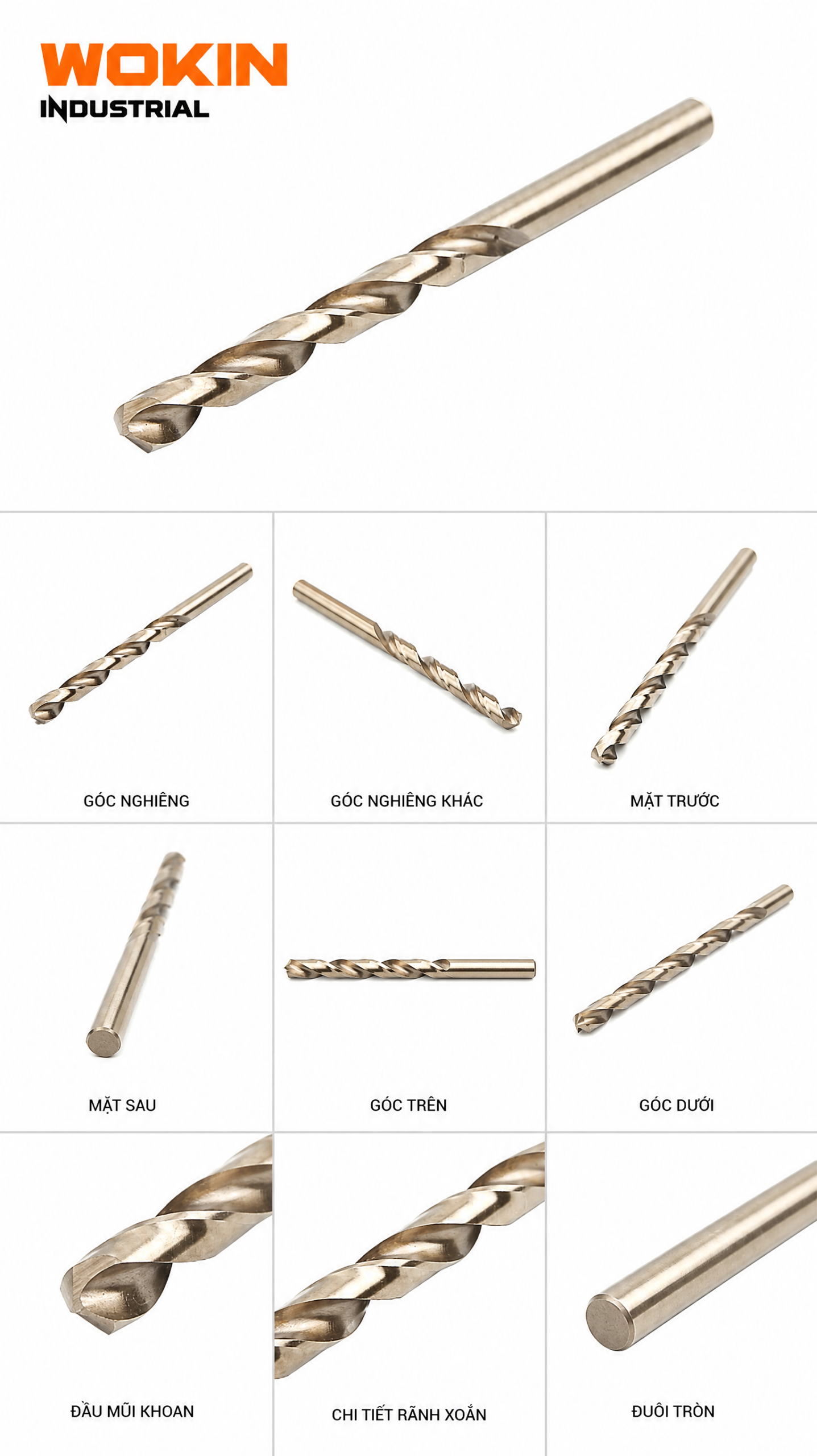 Đầu cắt mũi khoan Coban 5% HSS M35 WOKIN